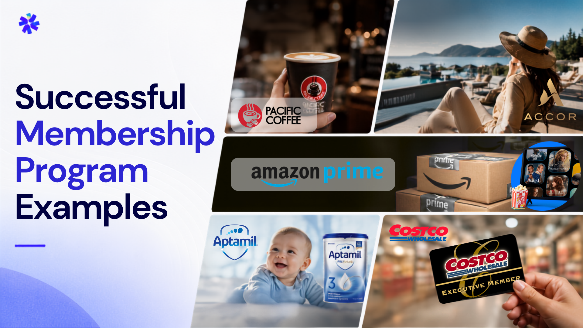 7+ Great Membership Program Examples to Copy