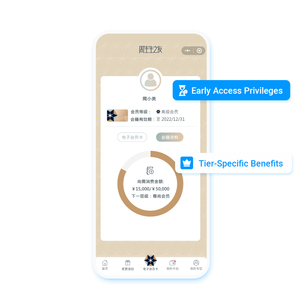 Tiered Privilege Program for Customers